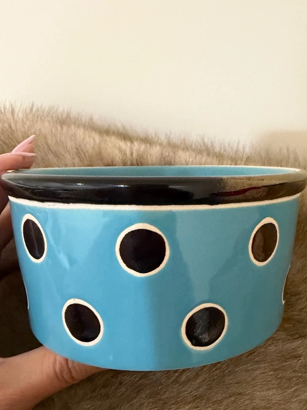 Ceramic Dog Bowl in Bright Turquoise with Polka Dot Accents